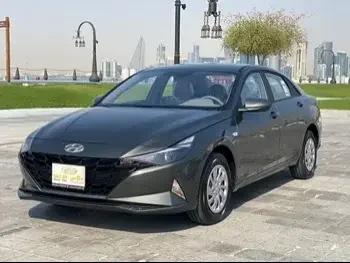 Hyundai  Elantra  Sedan  Grey  2023