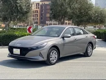 Hyundai  Elantra  Sedan  Grey  2023