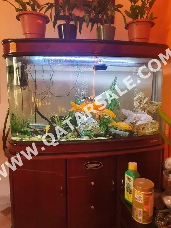 Aquariums - Brown  With Motor  128 CM  53 CM  With Cabinet  78 CM