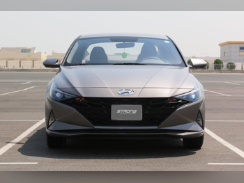 Hyundai  Elantra  4 Cylinder  Sedan  Silver  2023