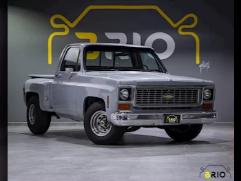 Chevrolet  C10/K10  1973  Automatic  21,000 Km  8 Cylinder  Rear Wheel Drive (RWD)  Pick Up  Gray Nardo