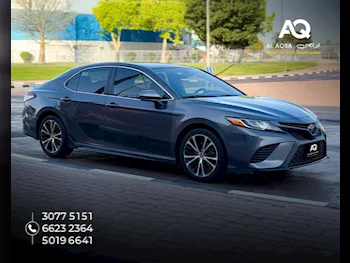 Toyota  Camry  4 Cylinder  Sedan  Silver  2019