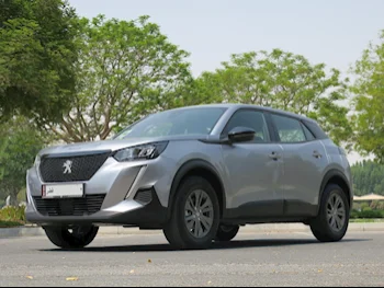 Peugeot  2008  SUV 2x4  Silver  2023