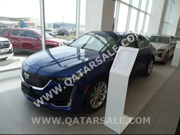 Cadillac  CT5  6 Cylinder  Sedan  Blue  2020