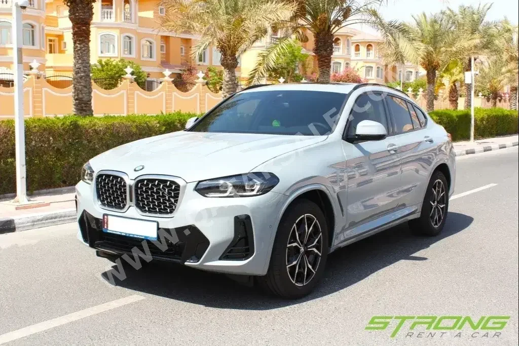 BMW  X4  SUV ( AWD )  Silver  2023