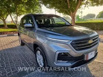 Chevrolet  Captiva LS  SUV 2x4  Grey  2022