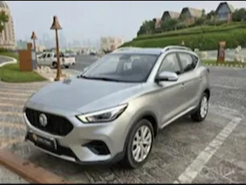 MG  ZS  4 Cylinder  SUV 2x4  Silver  2022