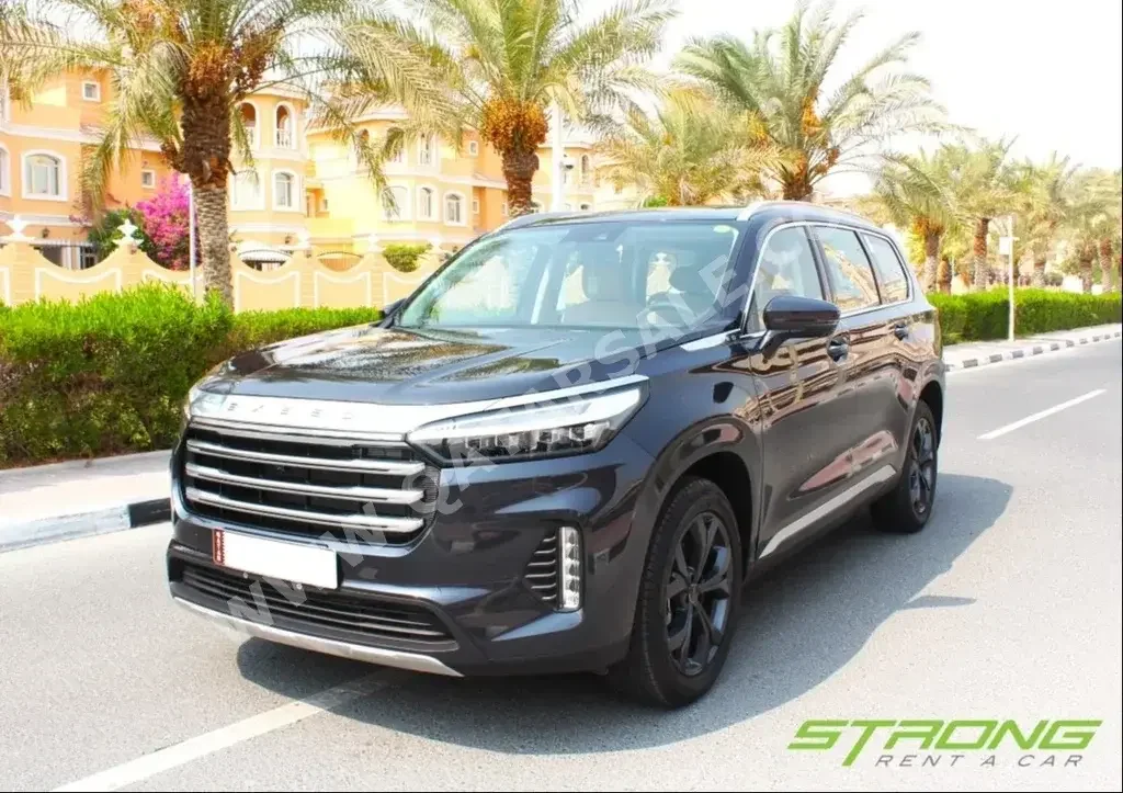 Exeed  VX  SUV ( AWD )  Dark Grey  2023