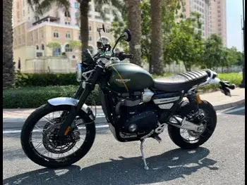 Triumph  Scrambler 1200 XC -  2021 - Color Green