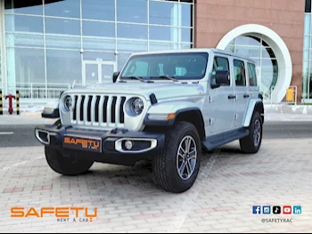 Jeep  Wrangler  6 Cylinder  SUV 4x4  Grey  2023