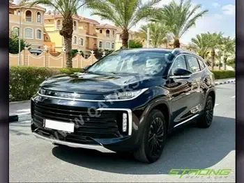 Exeed  TXL  4 Cylinder  SUV ( AWD )  Black  2023