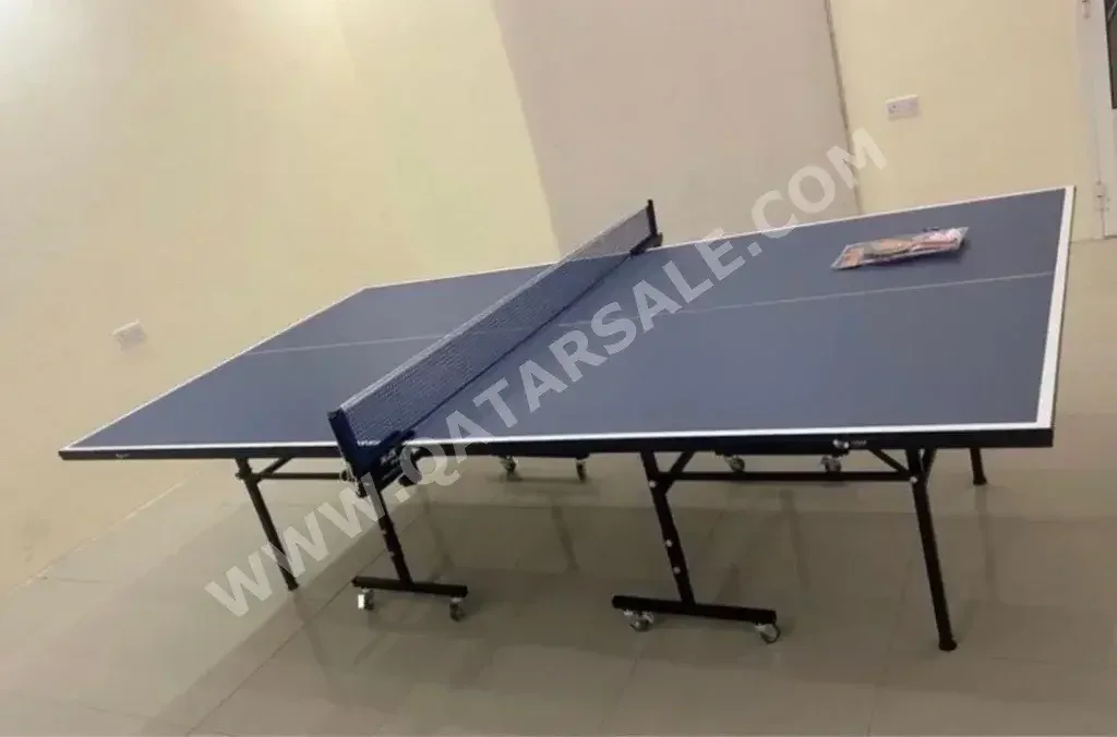 Black and Blue  Tennis (ping pong) Table