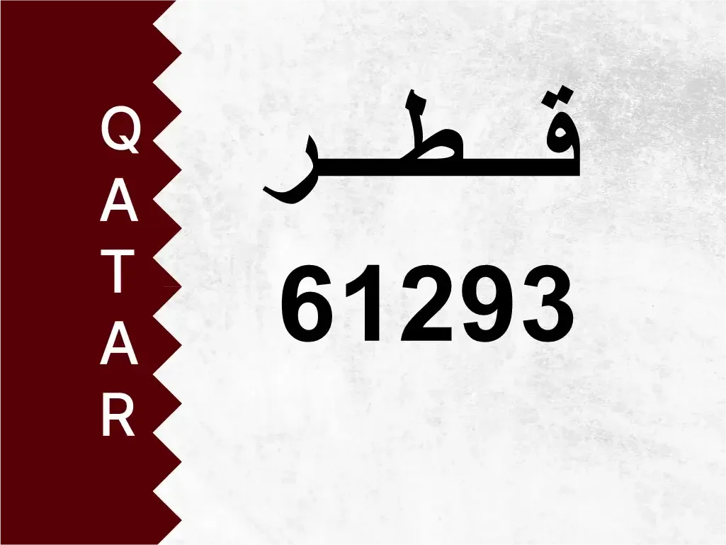 رقم خاص  61293  رقم مميز