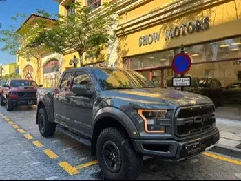 Ford  Raptor  2018  Automatic  176,000 Km  6 Cylinder  Four Wheel Drive (4WD)  Pick Up  Gray