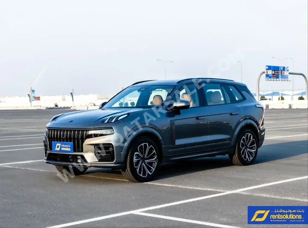 Lynk & Co  09  4 Cylinder  SUV ( AWD )  Grey  2024