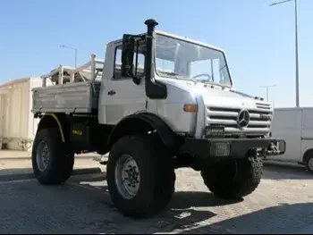 Truck Mercedes - Color Gray  1998  Four Wheel Drive (4WD)