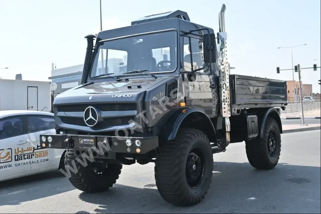 Mercedes-Benz  Unimog  2000  Manual  20,000 Km  6 Cylinder  Four Wheel Drive (4WD)  Pick Up  Gray