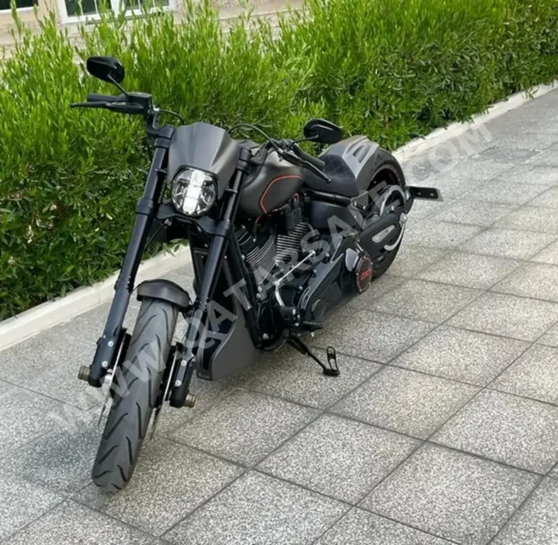 Harley Davidson  Sofrail FXDR - Year 2019 - Color Grey - Gear Type Manual -  Warranty - Mileage 1300 Km