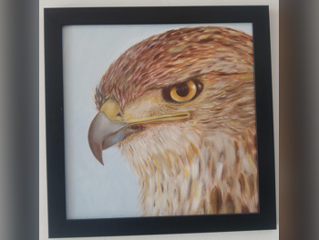 إطار صورة واحد  أسود  مربع  3