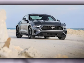 Ford  Mustang  2021  Automatic  31,000 Km  4 Cylinder  Rear Wheel Drive (RWD)  Coupe / Sport  Gray