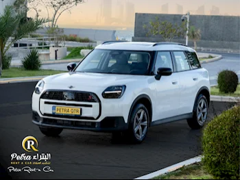 Mini  CountryMan S  4 Cylinder  Hatchback  White  2024