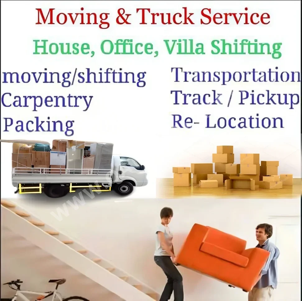 Furniture Move and Installation