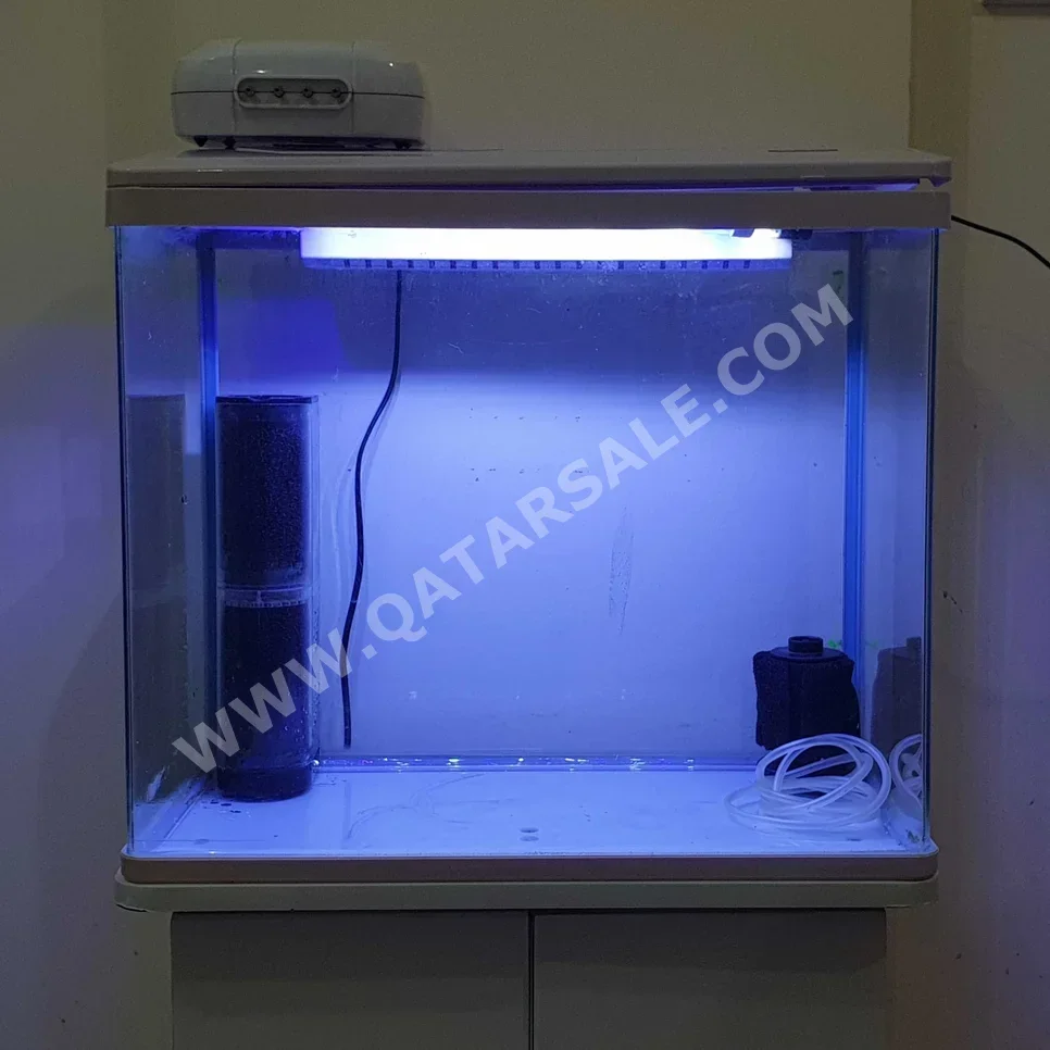 Aquariums - White  With Motor  50 CM  25 CM  With Cabinet  110 CM