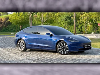 Tesla  Model 3  2024  Automatic  700 Km  0 Cylinder  All Wheel Drive (AWD)  Sedan  Blue  With Warranty