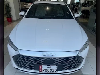 BYD  QIN PLUS  4 Cylinder  Sedan  White  2024