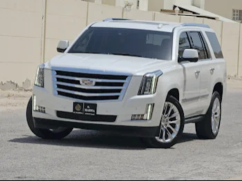 Cadillac  Escalade  2020  Automatic  75,000 Km  8 Cylinder  Four Wheel Drive (4WD)  SUV  White  With Warranty