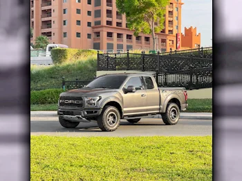 Ford  Raptor  2018  Automatic  140,000 Km  6 Cylinder  Four Wheel Drive (4WD)  Pick Up  Gray