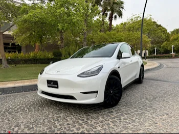 Tesla  Model Y  2022  Automatic  68,000 Km  0 Cylinder  All Wheel Drive (AWD)  Sedan  White