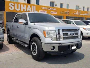 Ford  F  150  2012  Automatic  280,000 Km  8 Cylinder  Four Wheel Drive (4WD)  Pick Up  Silver