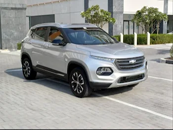 Chevrolet  Groove  SUV 4x4  Gray Metallic  2023