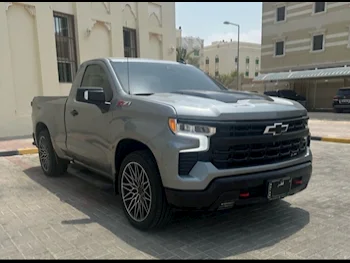 Chevrolet  Silverado  LT Trail Boss Z71  2023  Automatic  14,600 Km  8 Cylinder  Four Wheel Drive (4WD)  Pick Up  Gray  With Warranty