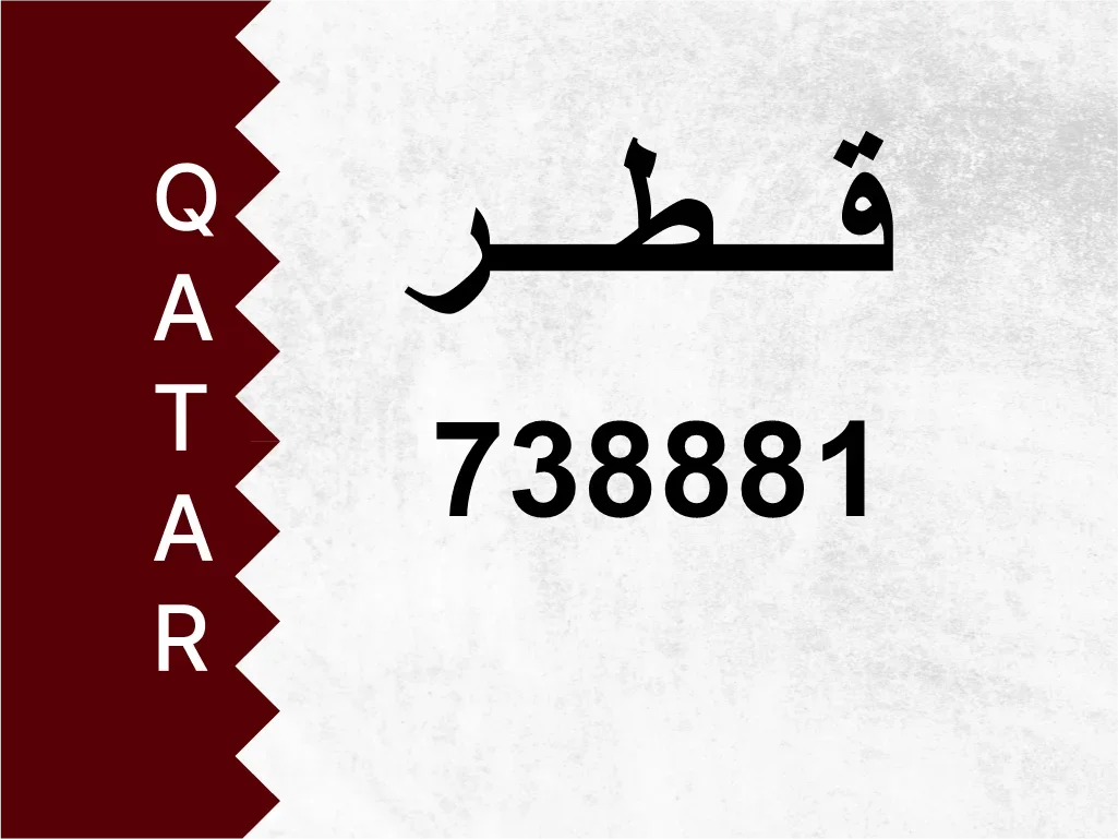 رقم خاص  738881  رقم مميز