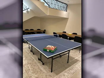 Blue  Tennis (ping pong) Table