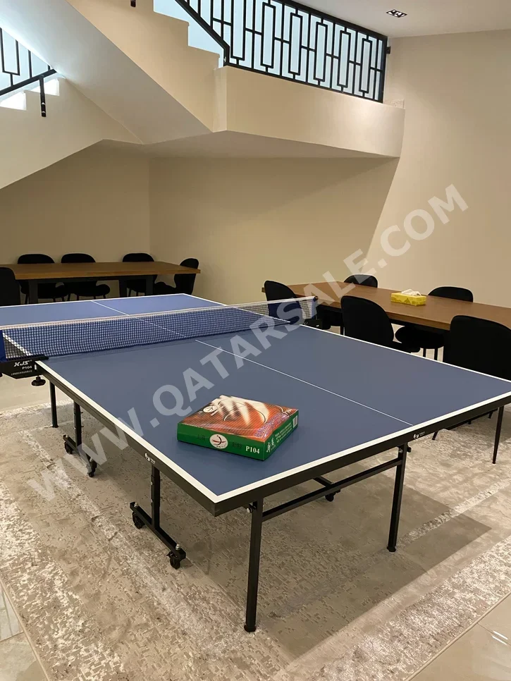 Blue  Tennis (ping pong) Table