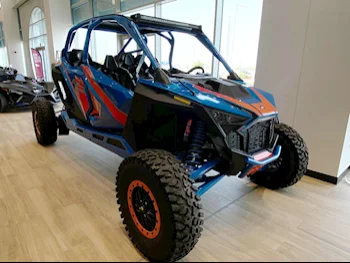 Polaris  RZR -  2023 - Color Blue -  Warranty