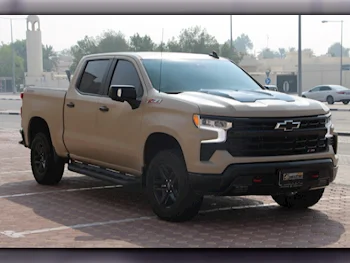 Chevrolet  Silverado  Trail Boss  2023  Automatic  33,000 Km  8 Cylinder  Four Wheel Drive (4WD)  Pick Up  Beige  With Warranty