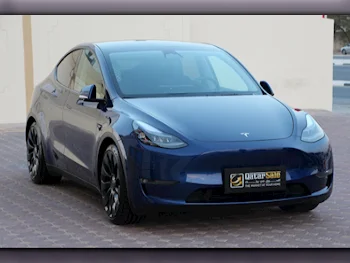 Tesla  Model Y  Performance  2023  Automatic  23,800 Km  0 Cylinder  All Wheel Drive (AWD)  Sedan  Blue  With Warranty