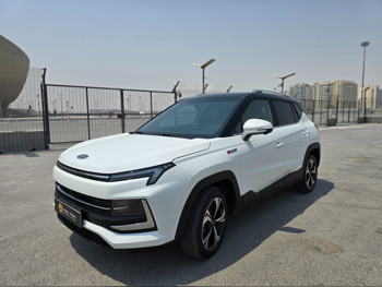 Jac JS4 - Intelligent 4 Cylinder SUV 2x4 White 2025