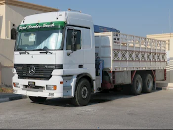 Truck Mercedes  Actross - Color White  2002