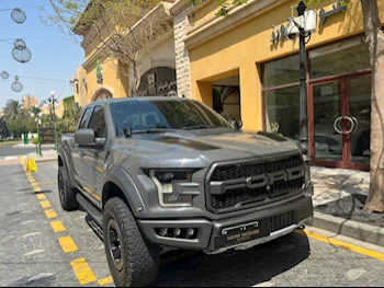 Ford  Raptor  2018  Automatic  102,000 Km  6 Cylinder  Four Wheel Drive (4WD)  Pick Up  Gray