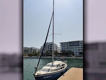 USA  2008  Blue  26 ft