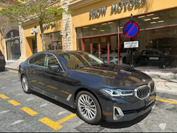 BMW  5-Series  530i  2023  Automatic  28,000 Km  4 Cylinder  Rear Wheel Drive (RWD)  Sedan  Gray  With Warranty