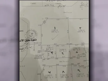 Lands For Sale in Umm Salal  - Umm Salal Ali  -Area Size 4٬284 Square Meter