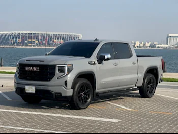 GMC  Sierra  Pickup  Grey  2024