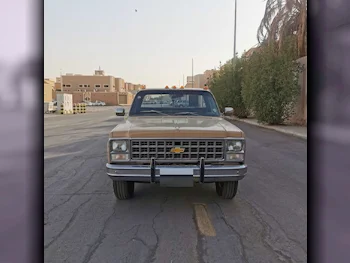 Chevrolet  Silverado  1980  Manual  290 Km  8 Cylinder  Rear Wheel Drive (RWD)  Classic  Beige