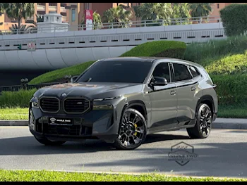BMW XM Gray 2023 For Sale in Qatar